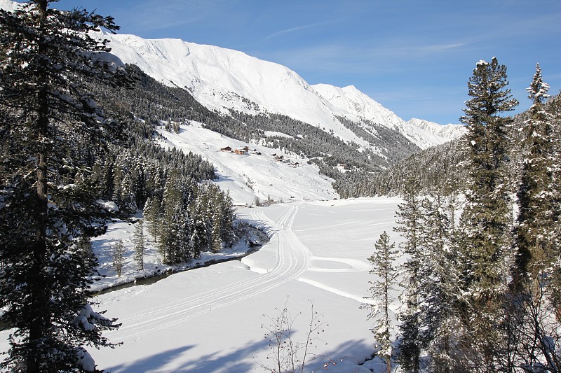 荷属安的列斯逾越奥地利,欧洲大赛风云再起的简单介绍 荷属安的列斯逾越奥地利,欧洲大赛风云再起的简单介绍